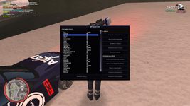 mta-screen_2025-01-31_19-27-32.png